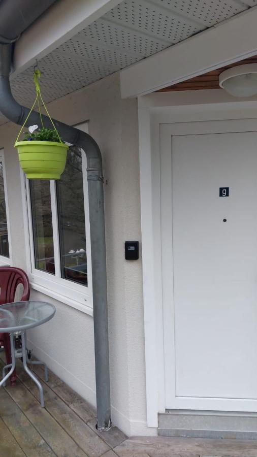 Ferienwohnung Am Stadtwald 프레이베르그 외부 사진